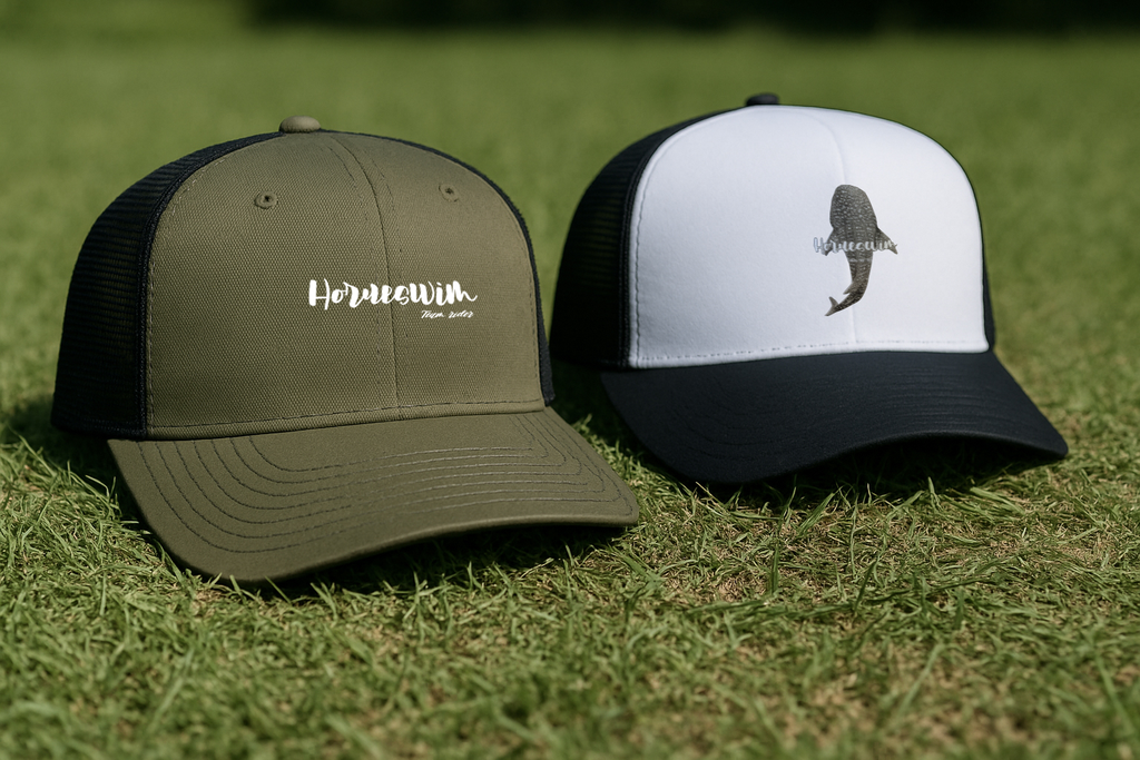 CASQUETTES.webp