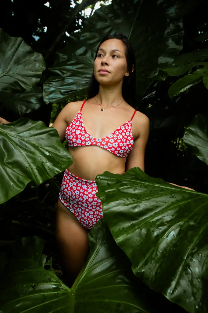 Bikini triangle christmas