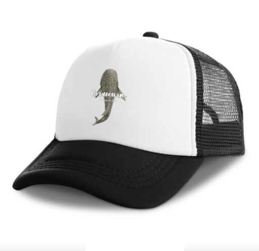 Cap HORUESWIM Whaleshark